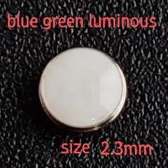 Item thumbnail for item 4ca2fc37-0c36-432e-a813-819c8ede2305