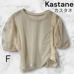 Kastane カスタシースルー ベージュ シアーTシャツ F