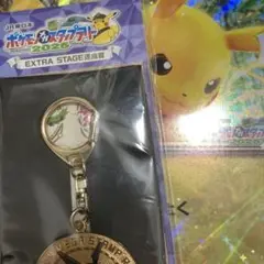ポケモン ピカチュウEX プロモカード ＆ レックウザメダルキーホルダ