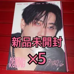 straykids アルバム KARMA 新品未開封 チャンビン ×5 ②