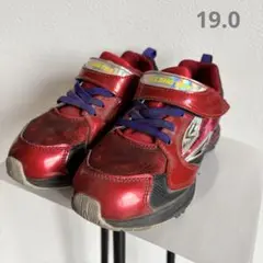 Item thumbnail for item f1da272d-8b6c-4a88-810d-988a199d21ab