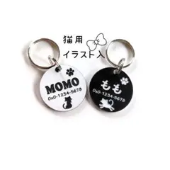 Item thumbnail for item fe02a135-2c40-4017-8687-5ea972c5513b