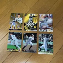 横田慎太郎 カード