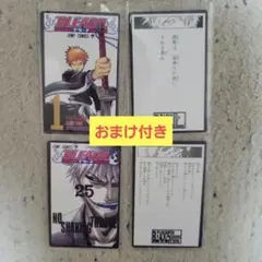 BLEACH ブリーチ 巻頭歌骨牌 かるた 黒崎一護 白一護 1巻 25巻