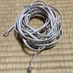 Item thumbnail for item 43674366-d76f-42d9-b761-a4e0f9a8034d