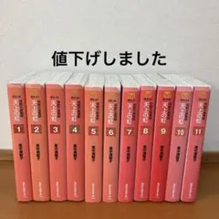 天上の虹　文庫版　全巻 天上の虹 全11巻セット (講談社漫画文庫) | 里中満智子 |本