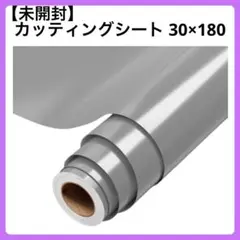 Item thumbnail for item e9407dd1-1674-4f0c-9985-0158c38c8600