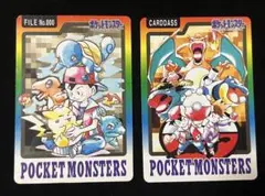 ポケモンカードダス スペシャルカード レッド＆グリーン 2種 まとめセット レア