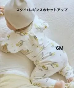 セットアップ:コニー スタイ/レギンス6M 70ミモザ