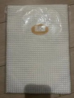 Item thumbnail for item 980c9b4f-747a-4a9d-9140-911d0c32efc7
