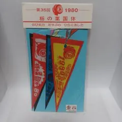 1980年 当時物　栃の葉国体　ペナント