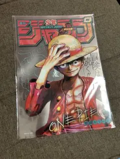 meet the one piece クリアファイル
