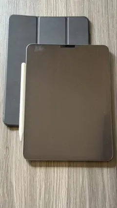 iPad Pro Wi-Fi 256GB スペースグレイ第2世代 ペンセット