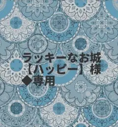 ラッキーなお城【ハッピー】様◆専用 ハンドメイド・レトロボタンカボション