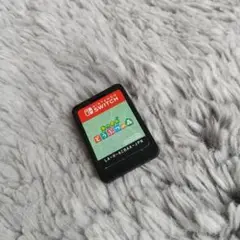あつまれ どうぶつの森 Nintendo Switch ソフトのみ