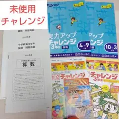 未使用チャレンジ他いろいろセット