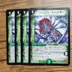 2396 ベニジシスパイダー