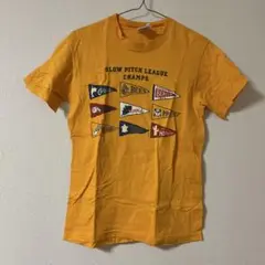 ヘインズ スローピッチリーグチャンプス Tシャツ