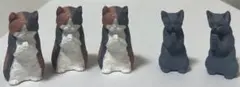 拝み猫　猫　フィギュア　５匹セット　ガチャ