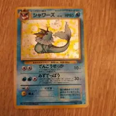 シャワーズ 旧裏