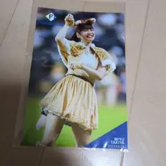 【希少】北海道日本ハム ファイターズガール 滝谷美夢　 カード　きつねダンス