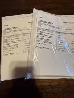 Item thumbnail for item 689c1e9c-dbf6-41dc-953d-cc2e4027e545