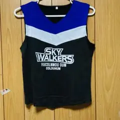 Item thumbnail for item e7cb85bd-84b7-4d98-aadb-913e57728bc7