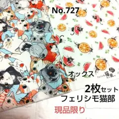 フェリシモ猫部　猫柄　ネコいっぱい　スイカ　オレンジ　オックス生地　2枚セット