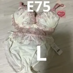 Item thumbnail for item 67a95256-5804-4b49-bd76-63f5885e7645