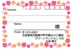 宛名シール 48枚 大きめサイズ 梅