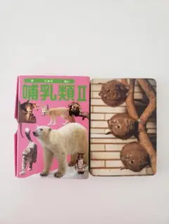 カード型知育図鑑　動物カード図鑑②哺乳類 Ⅱ