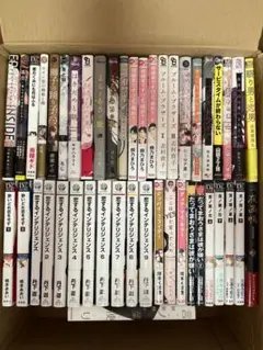 商業BLコミックス45冊まとめ売り 2冊440円、3冊550円、4冊660円