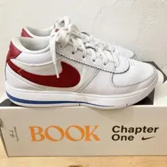 週末値下げNIKE BOOK 1 EP "Forrest Gump" 25cm
