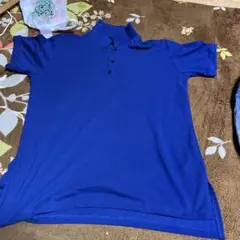 青色 Lサイズ ポロシャツ