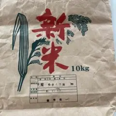 米袋10キロ用　1枚　紙袋　工作　クラフト　小分け用