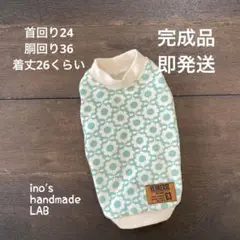 Item thumbnail for item 1e37f760-d2f5-4874-b5fa-3f7b91676930