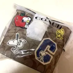 【新品未使用・未開封】COACHスヌーピーコラボレインボー ショルダーバッグ
