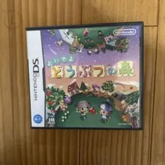 Nintendo ニンテンドー　DS ソフト　おいでよ どうぶつの森