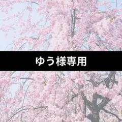 専用出品です