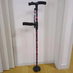 Item thumbnail for item 6d120b88-3426-459b-bffa-139959f62575