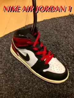 【超超レア・ラスト1点】 NIKE JORDAN 1 ジョーダン パターカバー