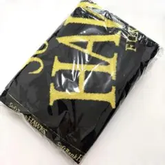 未開封 未使用福岡ソフトバンクホークス 約600×1200mm 選手プロデュース