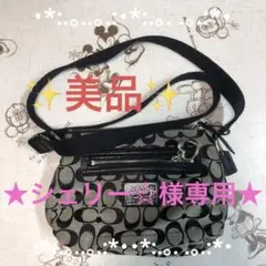 coach ショルダーバッグ