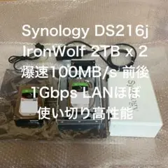 1GLAN 読み書き爆速　DS216j IronWolf 2TBx2 計4TB