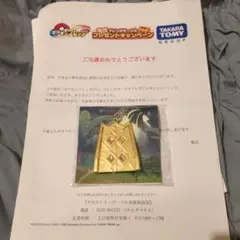 ポケモンフレンダ　当選品　未開封品　らくらくメルカリ便発送
