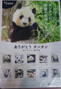 パンダ タンタン 記念スタンプシート