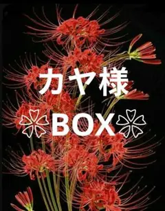 ❀カヤ様BOX❀ハンドメイド　ピルケース