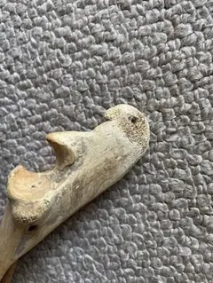 希少 骨董 インカ オブジェ