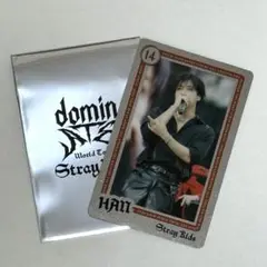 stray kids dominATE ハン　ライブフォトカード　トレカ