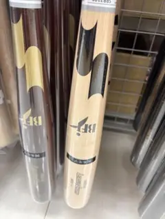 Item thumbnail for item 9bb468c5-e58d-41d7-bb16-51e5ced9956a